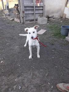 0463 Zizi 25
