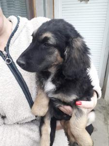 0474 Bella 10