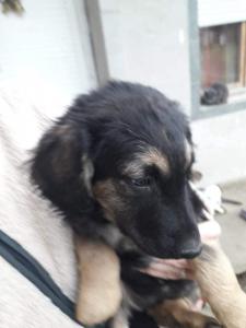 0474 Bella 12