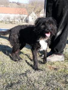 0476 Blacky 14
