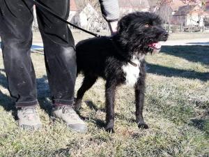 0476 Blacky 15