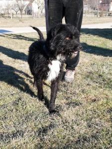 0476 Blacky 16