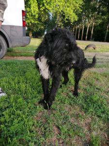0476 Blacky 19