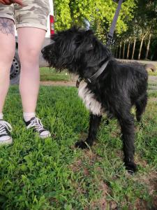 0476 Blacky 20