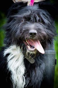 0476 Blacky 21