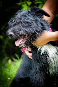 0476 Blacky 22