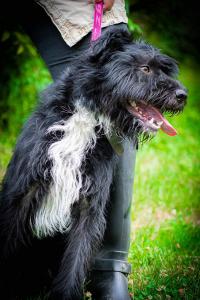 0476 Blacky 23