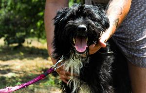 0476 Blacky 24 (1)