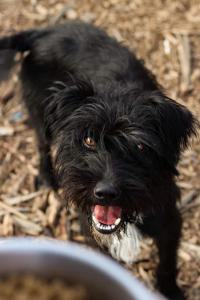 0476 Blacky 28