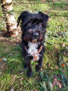 0476 Blacky 34