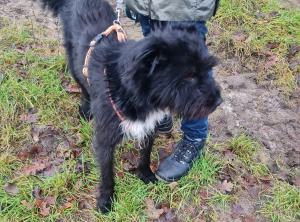 0476 Blacky 38
