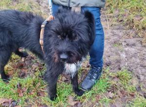 0476 Blacky 39