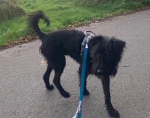 0476 Blacky 41