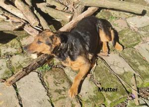 Eltern Mutter