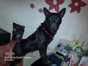 0493 Roxy 10
