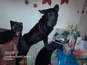 0493 Roxy 11