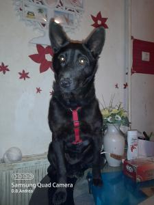 0493 Roxy 12