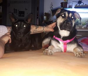 0493 Roxy 13