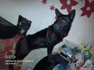 0493 Roxy 19