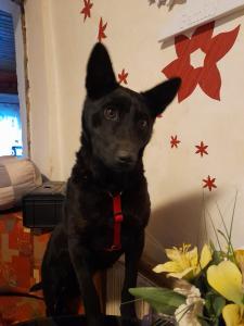 0493 Roxy 2