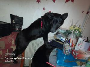 0493 Roxy 20