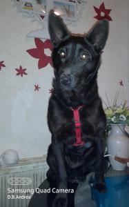 0493 Roxy 4