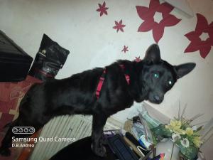 0493 Roxy 5