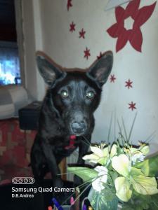 0493 Roxy 6