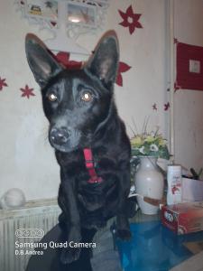 0493 Roxy 7