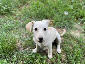 0507 Blondie 13