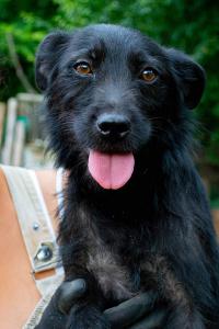 0508 Eszter 10