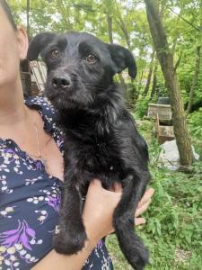 0508 Eszter 2