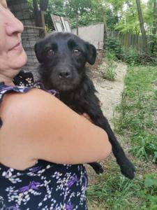 0508 Eszter 3