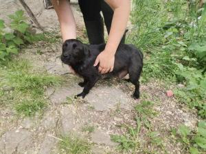 0508 Eszter 9