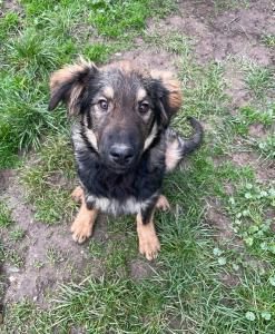 0546 Hector 10