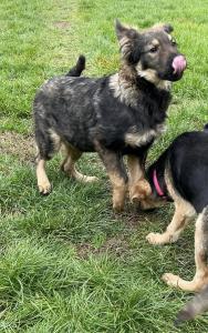0546 Hector 20