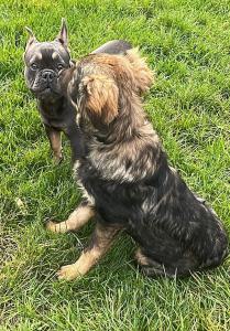 0546 Hector 27