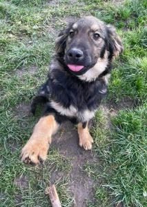 0546 Hector 30