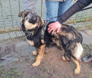 0546 Hector 39