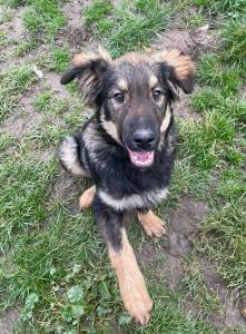 0546 Hector 9