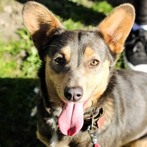 0559 Lina 1Aa