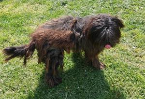 0569 Molly 10