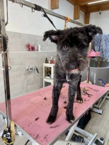 0569 Molly 12