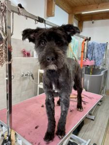 0569 Molly 14