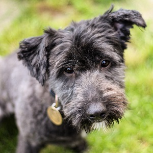 0569 Molly 1A