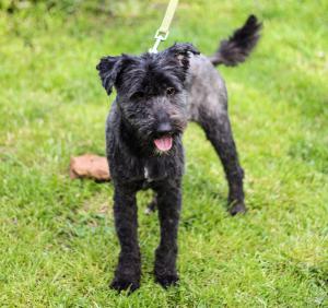 0569 Molly 3