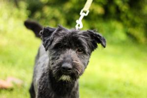 0569 Molly 7