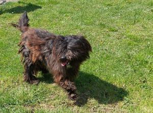 0569 Molly 9
