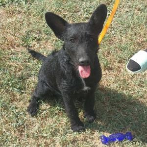 0573-Ella-15