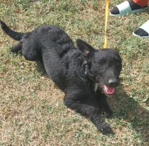 0573-Ella-16